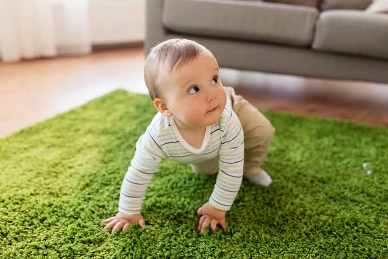 Crystal Purity carpet care