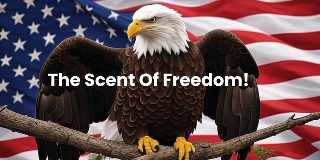 Bald eagle with outstretched wings in front of American flag for freedom.